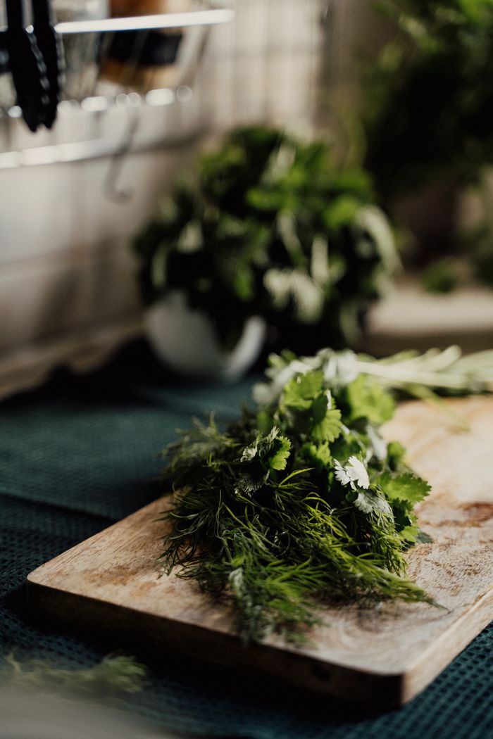 Close-up of fresh dill and cilantro on a wooden chopping board in a kitchen setting.